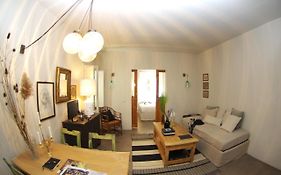 Appartamento Centro Citta Quartiere Oltrarno Con Una Camera Da Letto